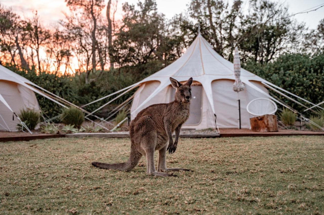 The Cove Jervis Bay Villa Exterior foto
